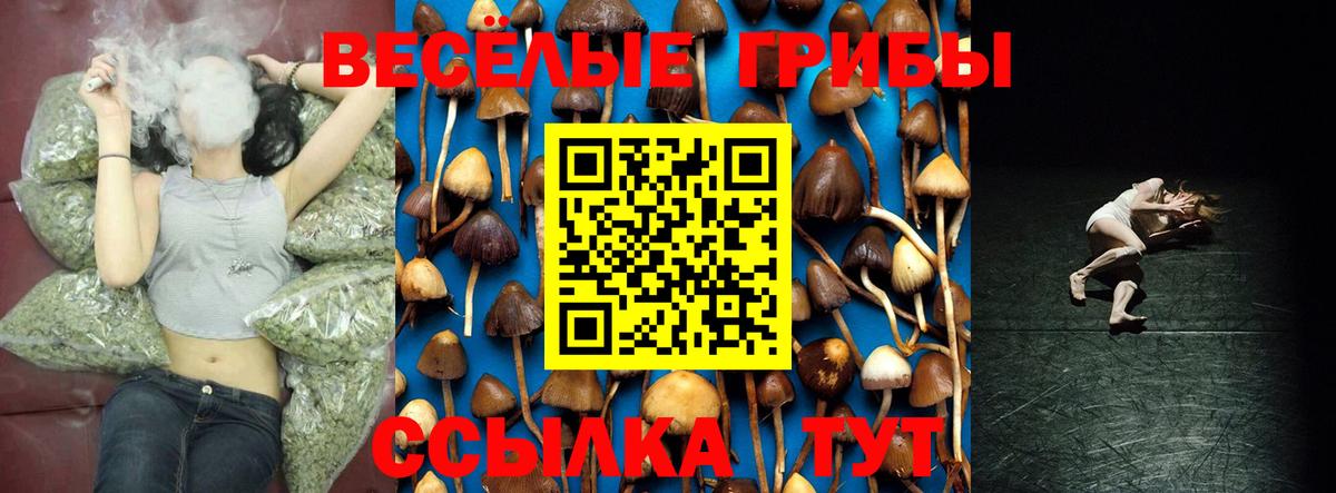 Жуковский  Псилоцибиновые грибы MAGIC MUSHROOMS  цена   Вход с VPN  Галлюциногенные грибы Magic Shrooms 