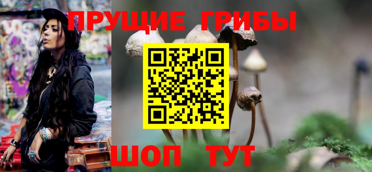 Псилоцибиновые грибы Psilocybe Жуковский
